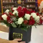 Boxes