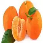 Tangarine Turke