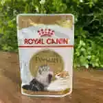 Persian Adult 85g