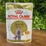 British Short Hair Adult 85g