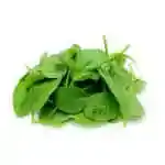 Arugula
