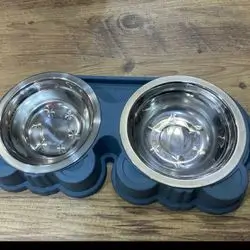 Pet bowl