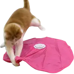Automatic Cat Toy 