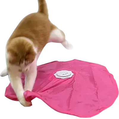 Automatic Cat Toy