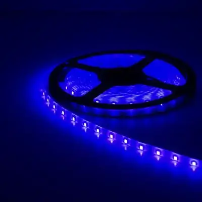 Strip Led Light Blue Indoor 5Mt.Single Chip