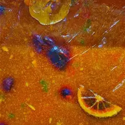 Dried Fruit Apricot Bread
