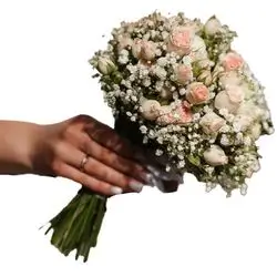 Bridal Baby Rose With Gypsum