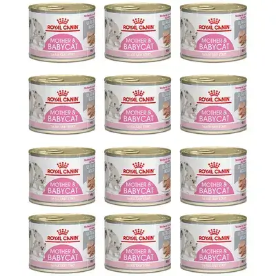 Royal Canin Mother & Babycat 12x