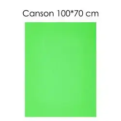 Canson Paper ( Light Green) 100 X 70 cm