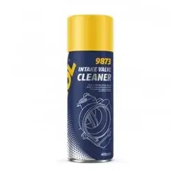 MANNOL Intake Valve Cleaner 9873