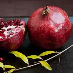 Egyptian Pomegranate 