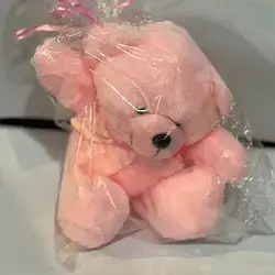 Gift Bear Pink