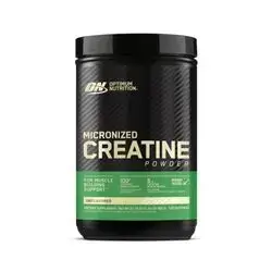 OPTIMUM NUTRITION CREATINE POWDER -600 G