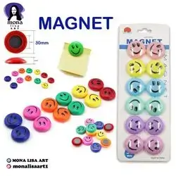 Magnet