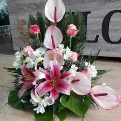Box Flower's