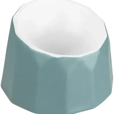 Ceramic Bowl