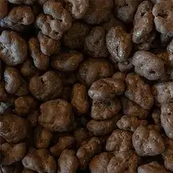 Walnut Nestlé