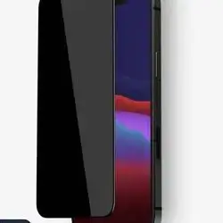 Voxer Privacy Glass iPhone 12 Pro