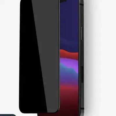 Voxer Privacy Glass iPhone 12 Pro
