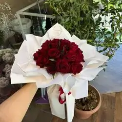 Red Rose