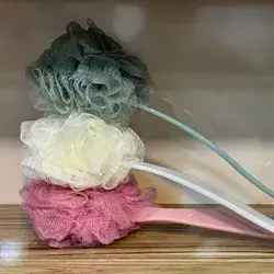 Bath Sponge