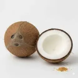 Coconut - 1 Pcs