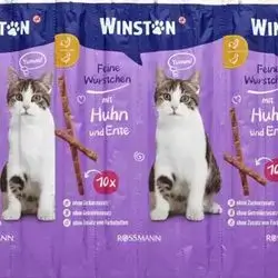 Cat_ sticks_ WINSTON