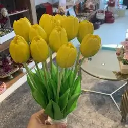 Tulip