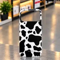 17 Promax case
