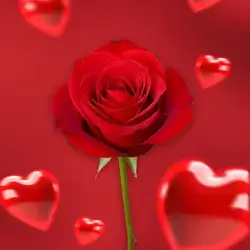 Red Rose