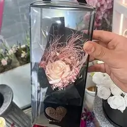 Gift