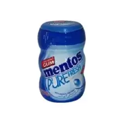 Mentos Fresh Mint Flavored Gum 17.5g