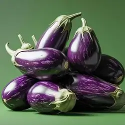 Iraqi Eggplant