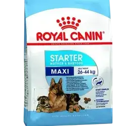 Royal Canin Maxi Starter 4kg