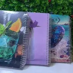 Picture Log notebook - A4- 7  part