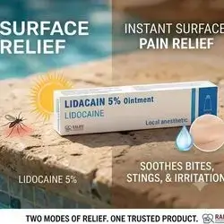 LIDACAIN 5% Ointment (20G)