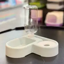 Water & Food Bowl