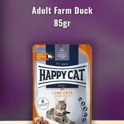 happy cat duck