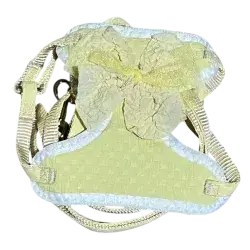 Leash & Harness S