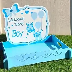 Baby tray