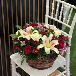 Basket flower