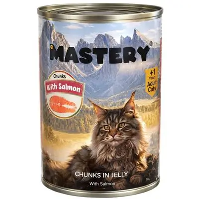 Mastery Salmon in Jelly 400g