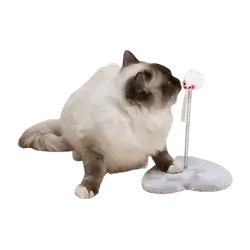 E318 Cat Toy
