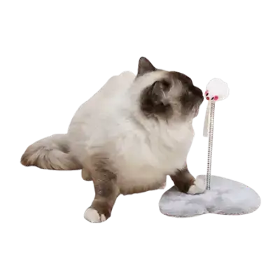 E318 Cat Toy