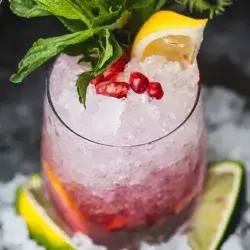 Pomegranate Mojito