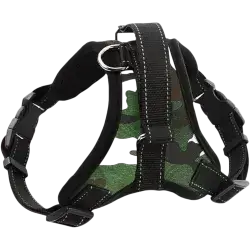 Leash & Harness L