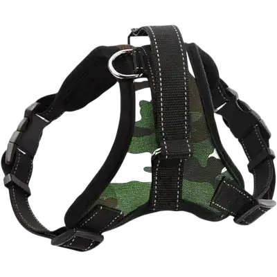 Leash & Harness L