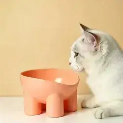 Food Bowl 13cm