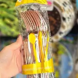 disposable plastic fork
