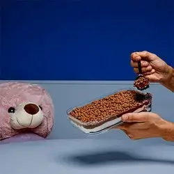 Lazy Cat Cake